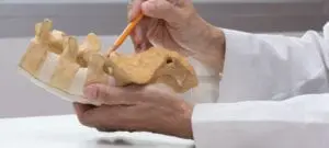 Lendenwirbelsäule LWS